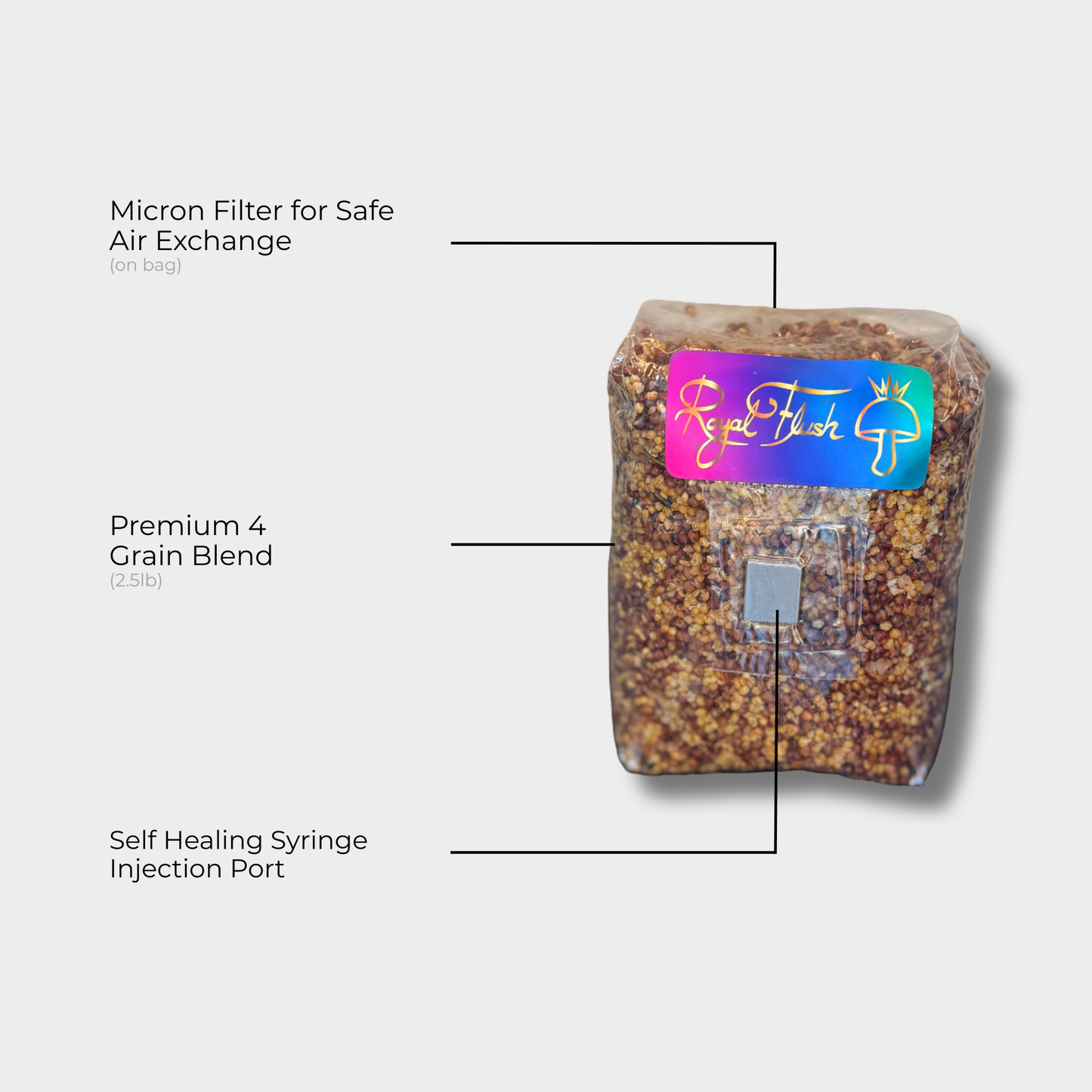 Sterilized 2.5 lb grain spawn bag with 4-grain blend and injection port