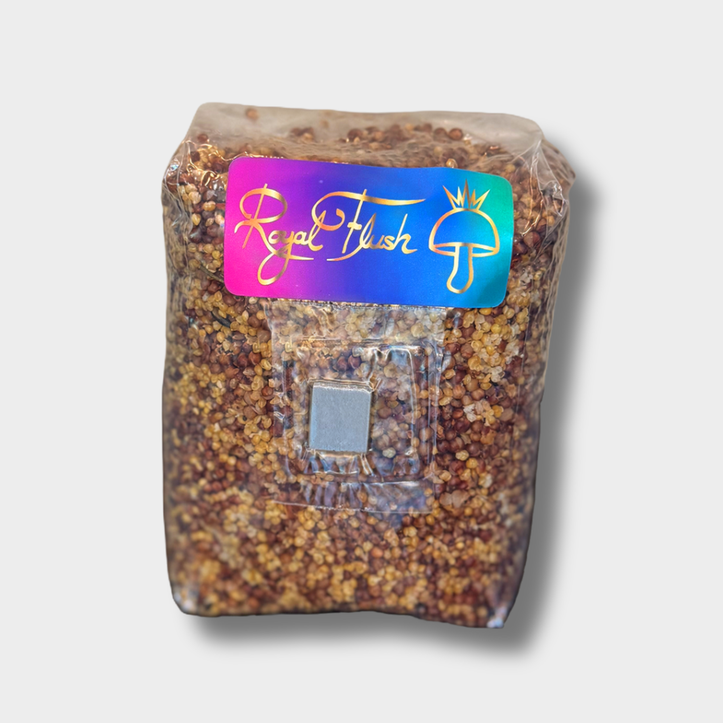 Sterilized 2.5 lb grain spawn bag with 4-grain blend and injection port