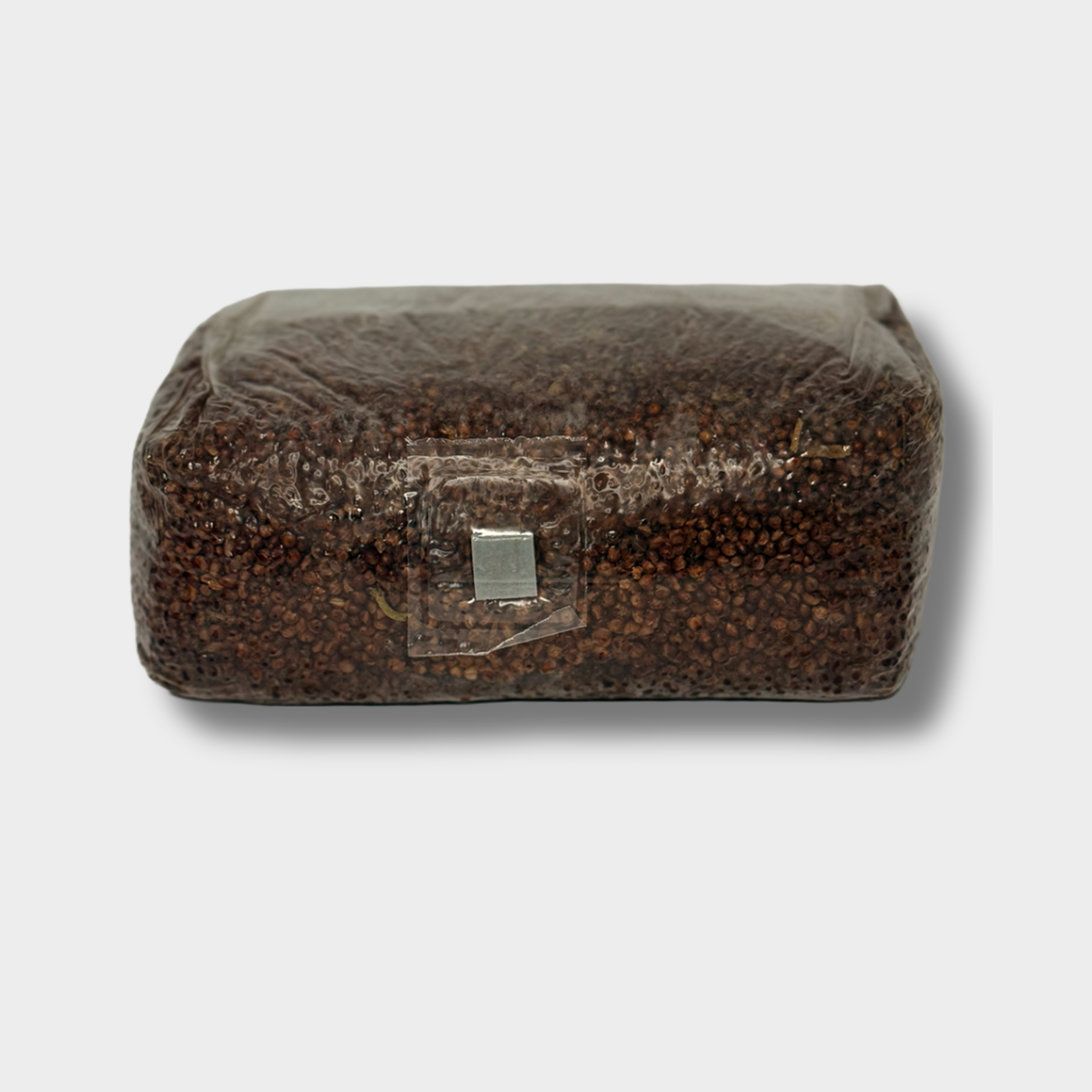 Sterilized grain spawn bag for mushroom cultivation with pure milo (sorghum) and injection port