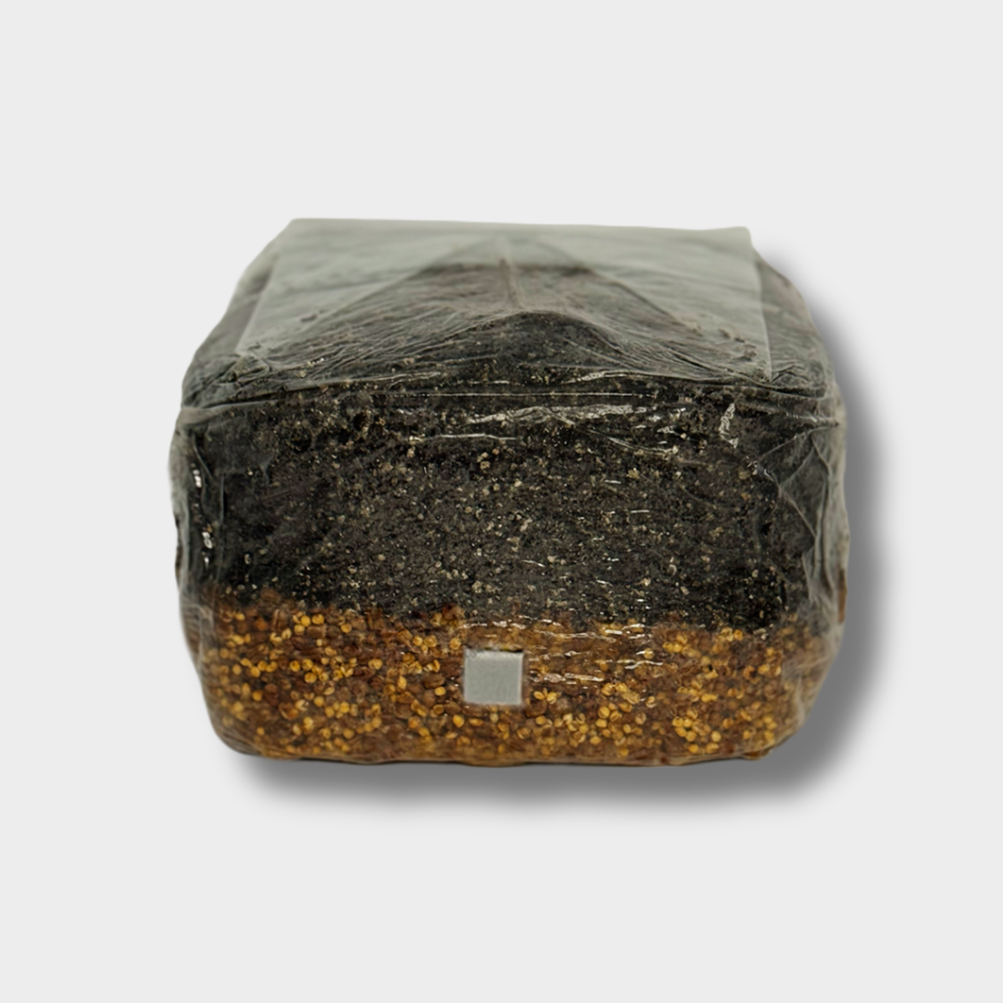 3 lb sterilized all-in-one mushroom grow bag with injection port and filter patch