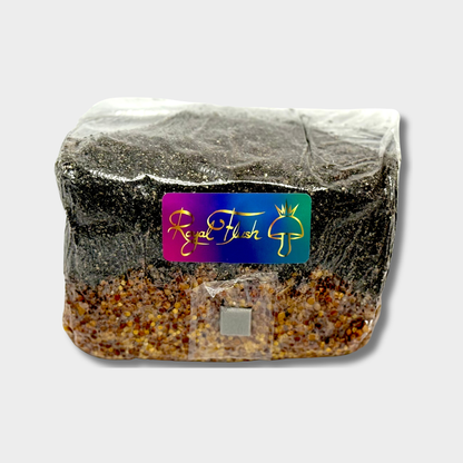 5 lb sterilized all-in-one mushroom grow bag with injection port and filter patch